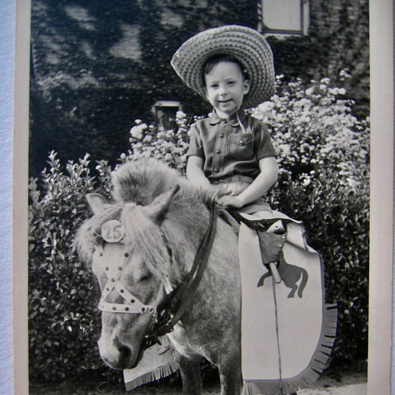 Te paard in Amsterdam – Noord.